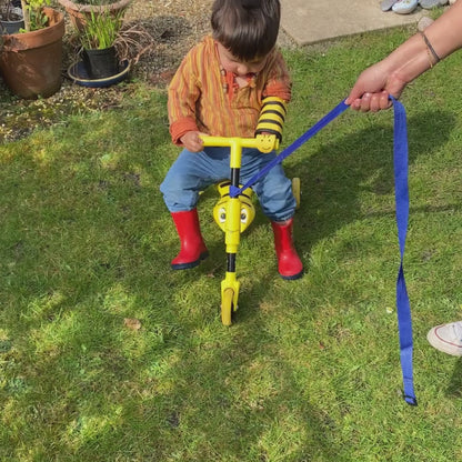 The Joeyy Bumblebee