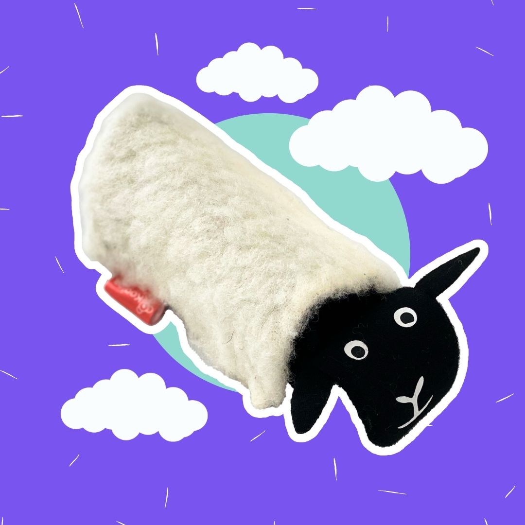The Joeyy Sheep