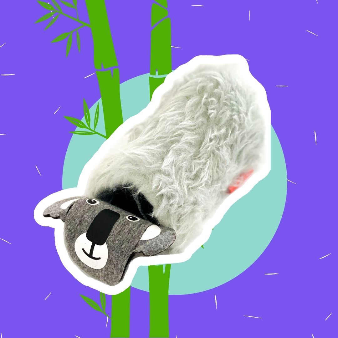 The Joeyy Koalaa